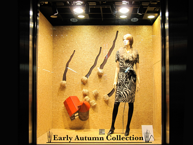 DISPLAY