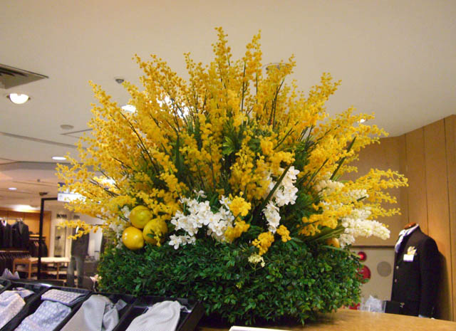 2008spring_2