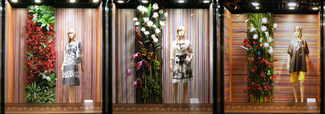 2008summer_4