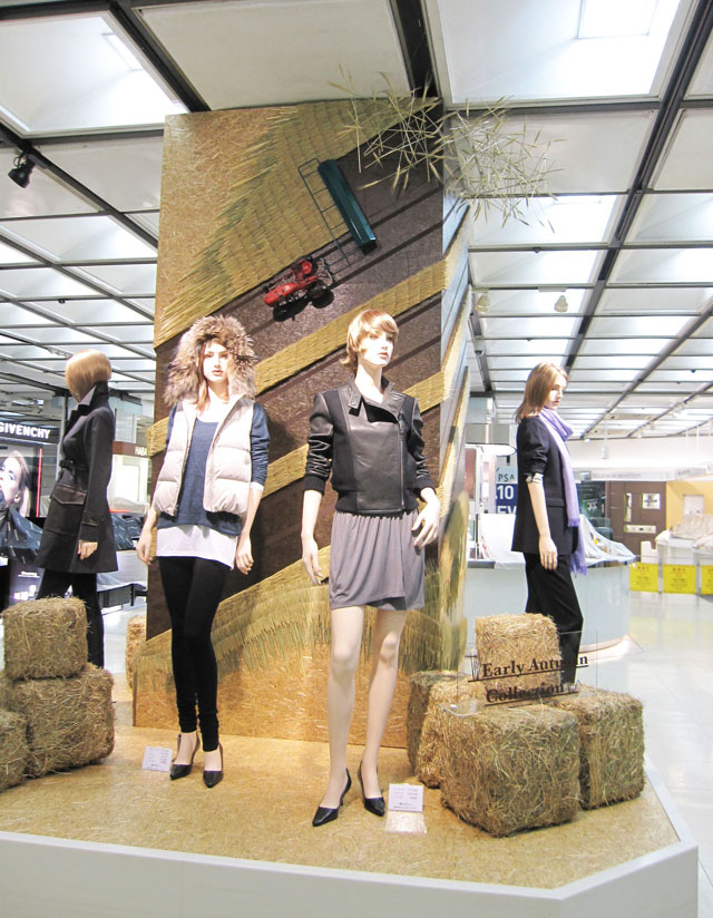 2010earlyautumn_3