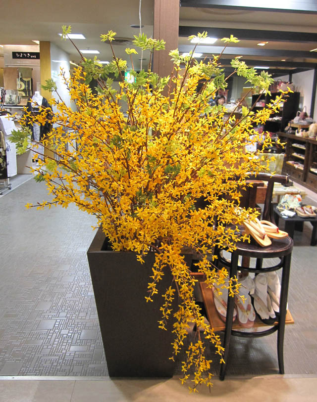 2010gofuku_1