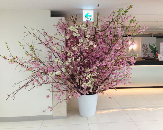TOBU2013spring_2
