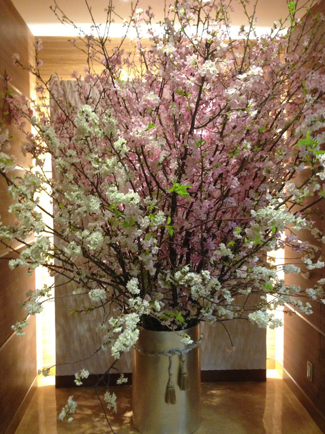 TOBU2013spring_3