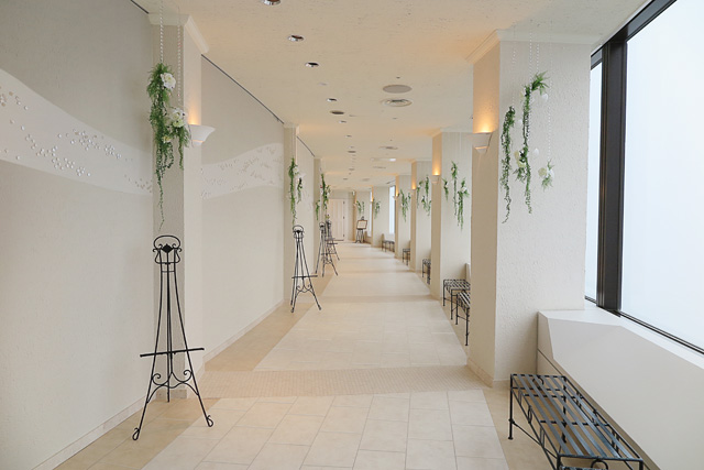 hamamatsu2015_4