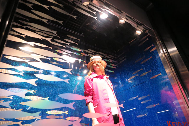 blog_2016keio_earlysummer-1