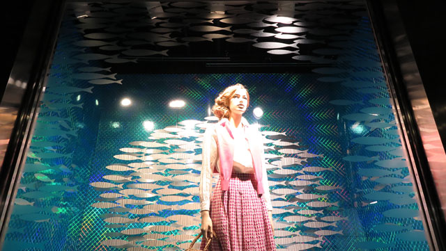 blog_2016keio_earlysummer-2