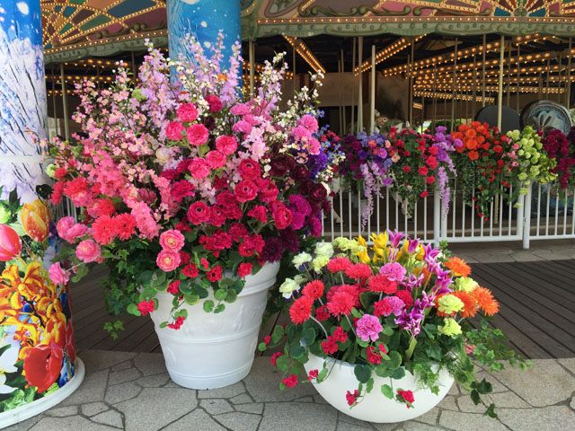 blog_hakkeijima2016spring-11