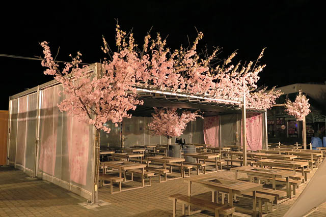 blog_hakkeijima2017spring-1