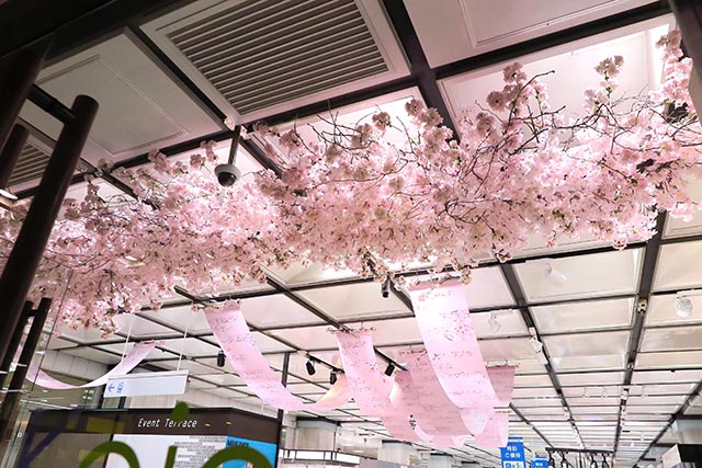 keio2019spring-8