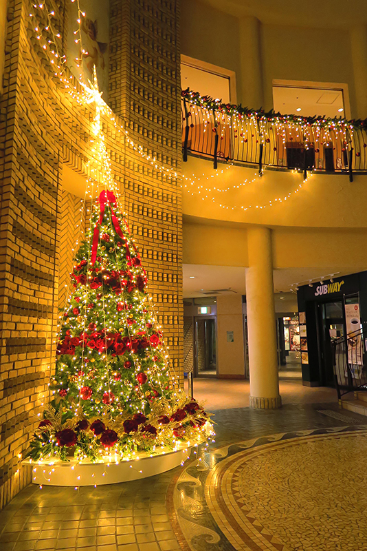 blog_harumi2019xmas_2