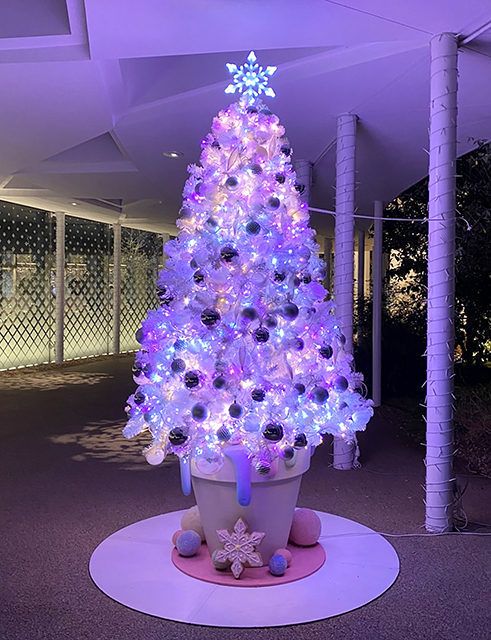 nicoe2020xmas-9