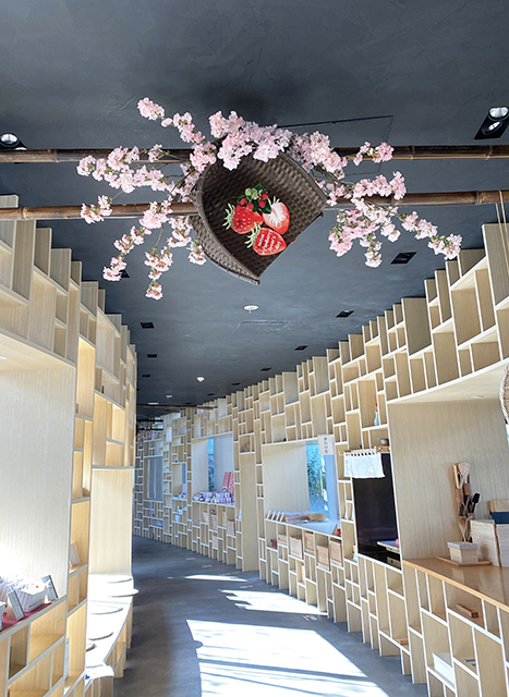 nicoe2021spring_3