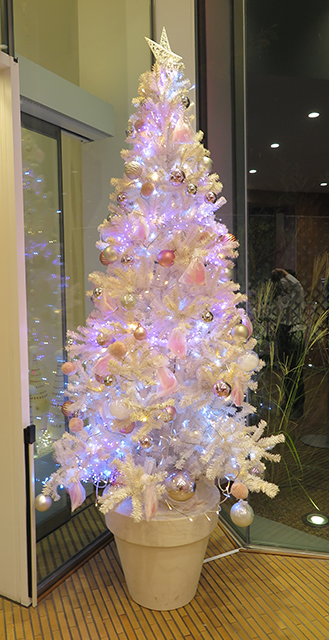 nicoe2021xmas_6