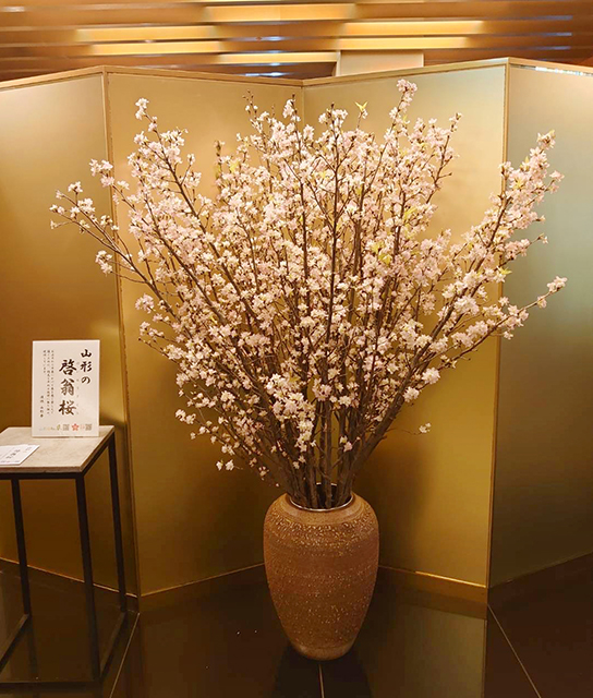 rihga2023earlyspring_7